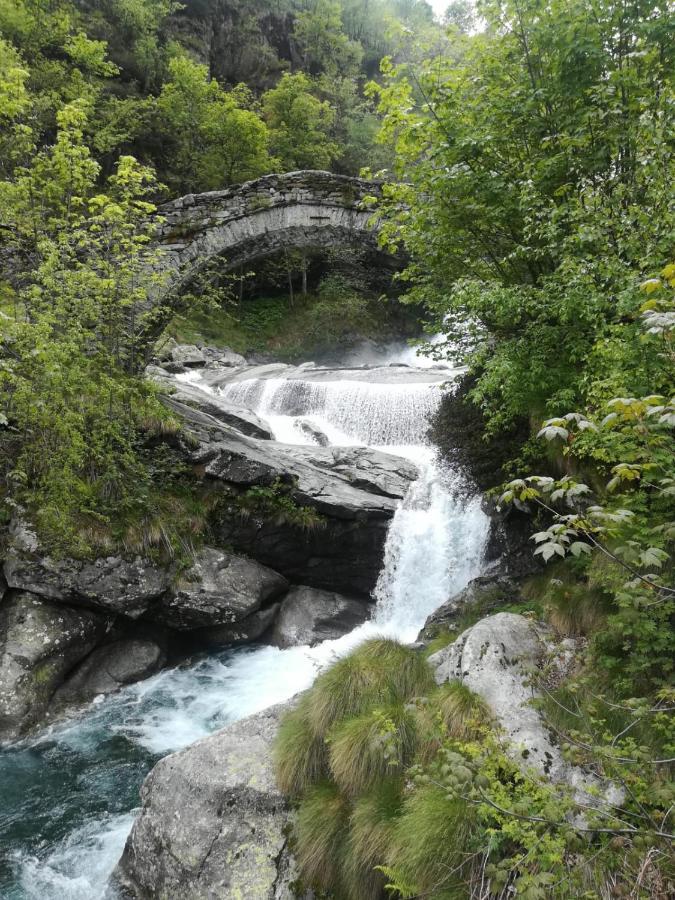 La Stella Delle Alpi Hotel Vico Canavese Buitenkant foto