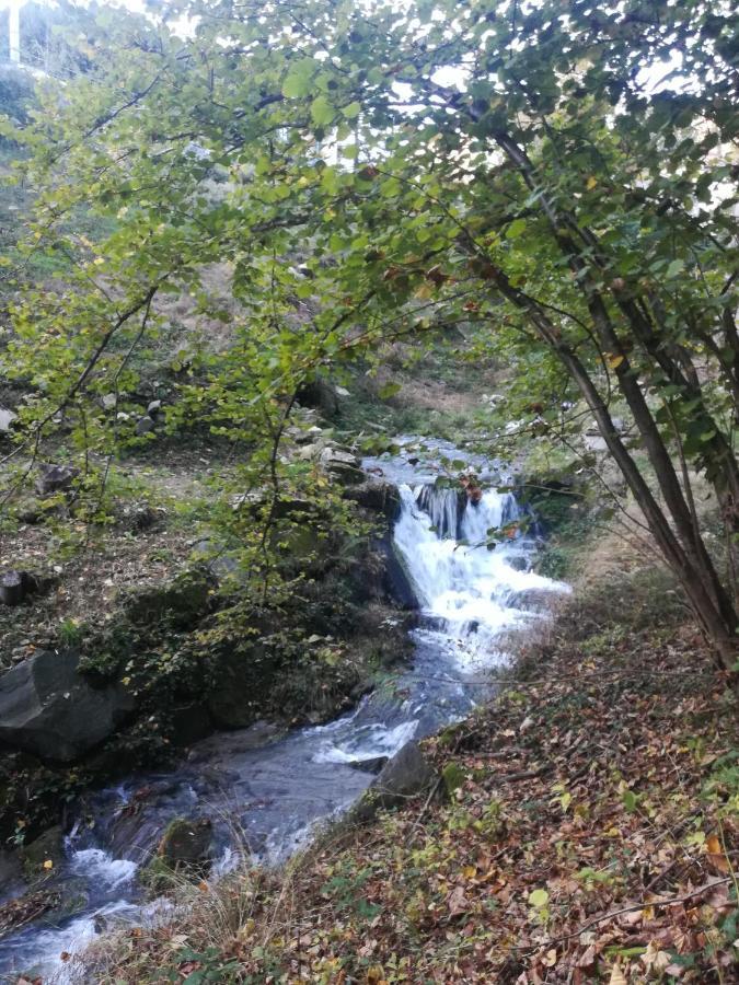 La Stella Delle Alpi Hotel Vico Canavese Buitenkant foto